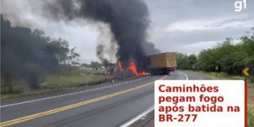 Caminhoneiro que sobreviveu a acidente na BR-277 diz ter visto carro do Deppen fazer ultrapassagem em local proibido