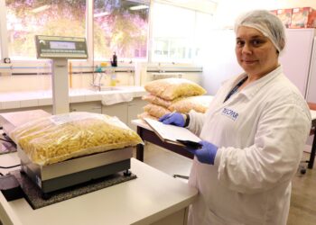 Com retorno das aulas, Tecpar e Fundepar asseguram qualidade da alimentação escolar para 2022