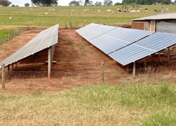 IAT emite primeira declaração automática para instalação de energia solar