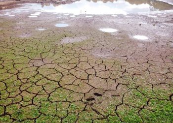 Estiagem castiga plantações e gera prejuízos no Sul e Centro-Oeste
