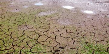 Estiagem castiga plantações e gera prejuízos no Sul e Centro-Oeste