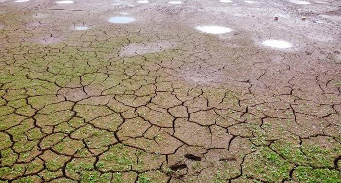 Estiagem castiga plantações e gera prejuízos no Sul e Centro-Oeste