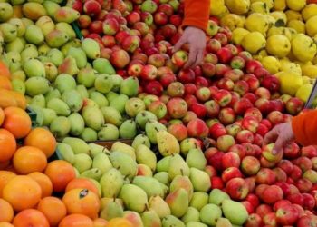 De onde vem o que eu como: umbu, feijoa, biribá — frutas nativas não são as mais populares no Brasil