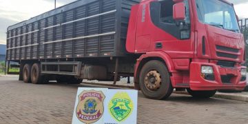 POLICIA FEDERAL e BPFRON apreendem grande carregamento de cigarros contrabandeados