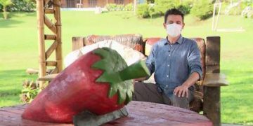 Turismo rural é oportunidade de negócio para família produtora de morangos, no Paraná