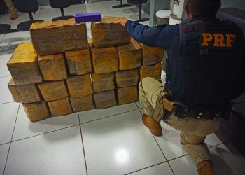 PRF apreende quase 300 kg de maconha no Oeste do Estado