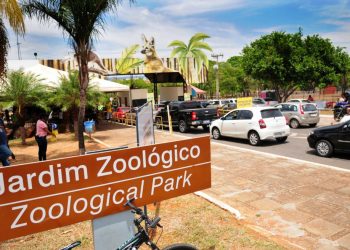 Onça foge de recinto no Zoológico de Brasília