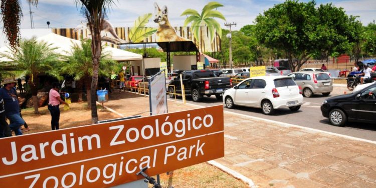 Onça foge de recinto no Zoológico de Brasília