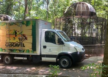 Zoológico de Cascavel abre com entrada gratuita para visitação neste sábado (1º); veja como agendar