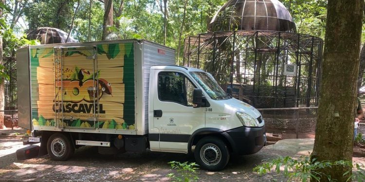 Zoológico de Cascavel abre com entrada gratuita para visitação neste sábado (1º); veja como agendar