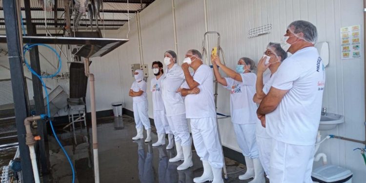 Frigorífico paranaense de peixe é o primeiro do País a conseguir chancela sanitária por consórcio