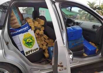 Cerca de 750 kg de maconha são apreendidos no oeste do Paraná, diz polícia