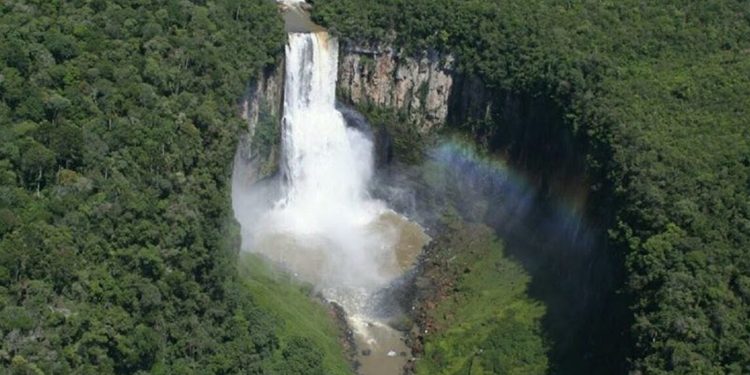 Concessão de parques abre oportunidades a profissionais de turismo e fomenta a economia