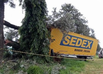 Motorista morre após colidir caminhão dos correios em árvore