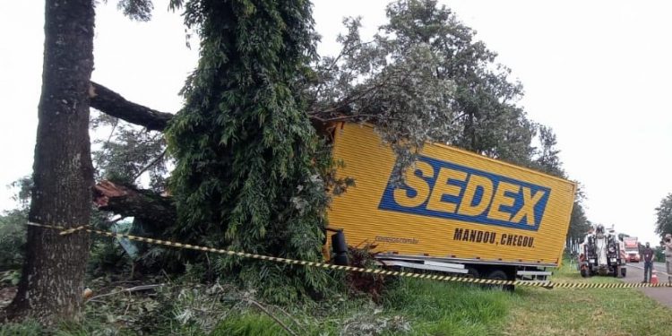 Motorista morre após colidir caminhão dos correios em árvore