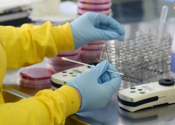 Sem mortes, Paraná registra mais 634 casos de Covid, diz secretaria