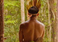 Suicídios entre índios no interior do Paraná gera alerta; foram 11 casos em 2021