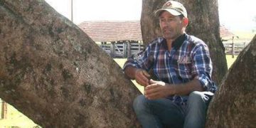 ‘No campo o tempo passa lentamente’, diz agricultor do Paraná sobre benefícios da vida rural