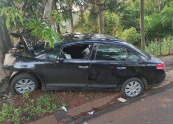 Criança de 3 anos morre após carro sair da pista e bater em árvore na PR-445, em Londrina