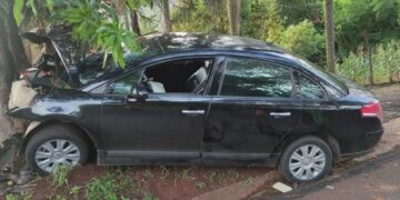 Criança de 3 anos morre após carro sair da pista e bater em árvore na PR-445, em Londrina