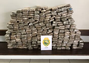 Grande apreensão de maconha nesta manhã (04)