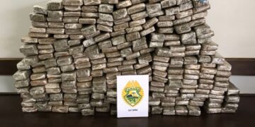 Grande apreensão de maconha nesta manhã (04)