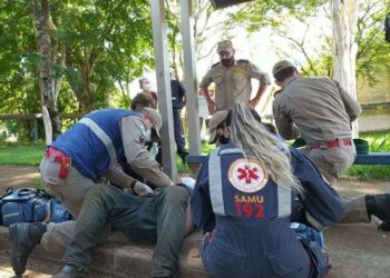 Homem é atacado por enxame de abelhas no campus da UEM
