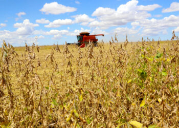 Agro cobra de governo e Congresso mais R$ 3 bi para o crédito rural