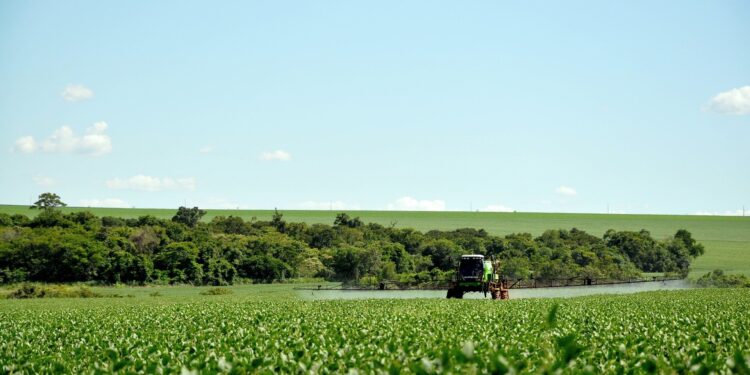 Câmara aumenta poder do Ministério da Agricultura para registrar agrotóxicos