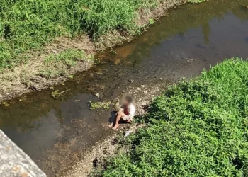 Mulher é agredida, jogada de ponte de 10 metros e passa noite em rio de São José dos Pinhais