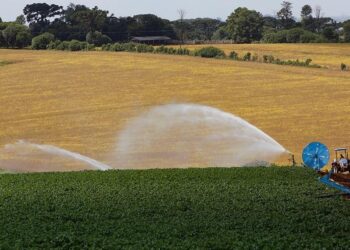 Comissão de Agricultura debate novas tecnologias em feira no Paraná