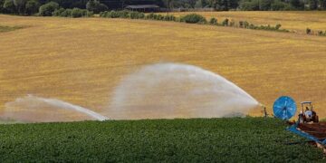 Comissão de Agricultura debate novas tecnologias em feira no Paraná