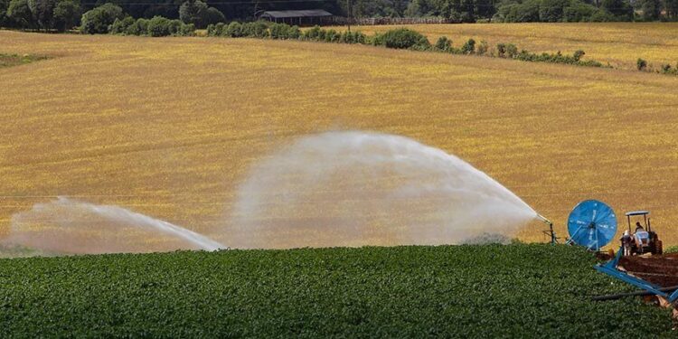 Comissão de Agricultura debate novas tecnologias em feira no Paraná