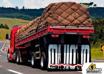 Caminhão arqueado: como polícia quer fechar cerco contra ‘máquinas mortais’