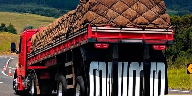 Caminhão arqueado: como polícia quer fechar cerco contra ‘máquinas mortais’