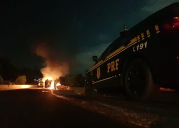 Carreta com 30 toneladas de madeira tomba e pega fogo na BR-116