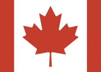 Bloqueio de caminhoneiros no Canadá inspira grupos antivacina em vários países