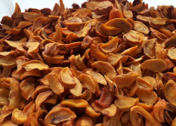 Caqui desidratado é alternativa para produtor aumentar renda, orienta IDR-Paraná