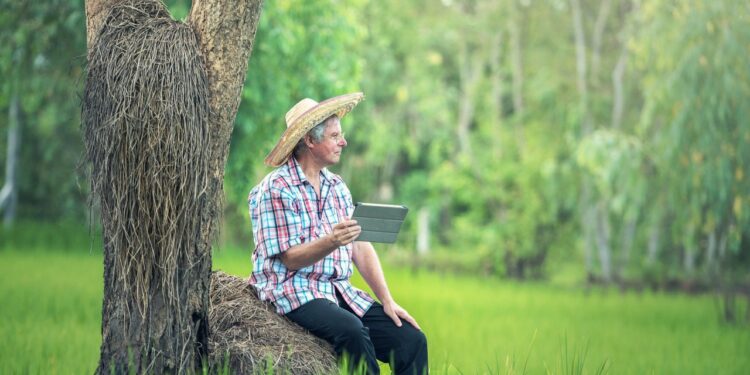 Brasil tem mais de 6 milhões de imóveis rurais
