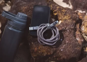 Empresa curitibana aposta em carregadores sustentáveis feitos de fibra de trigo