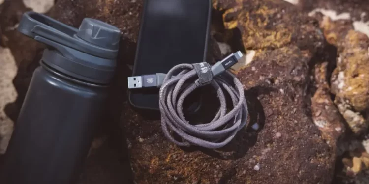 Empresa curitibana aposta em carregadores sustentáveis feitos de fibra de trigo