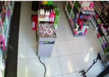 Serpente causa pânico em funcionários ao invadir loja no PR