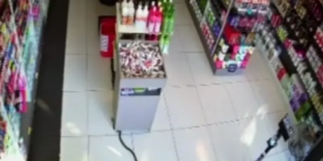 Serpente causa pânico em funcionários ao invadir loja no PR
