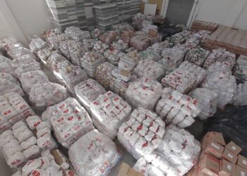 Defesa Civil do Paraná e Ação Social beneficiam famílias de Laranjeiras do Sul com cestas básicas