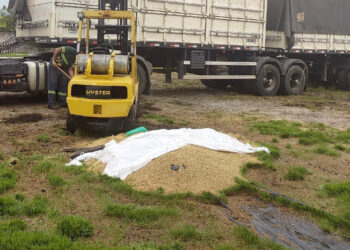 PM recupera 35 toneladas de cevada e insumo agrícola desviados em Paranaguá
