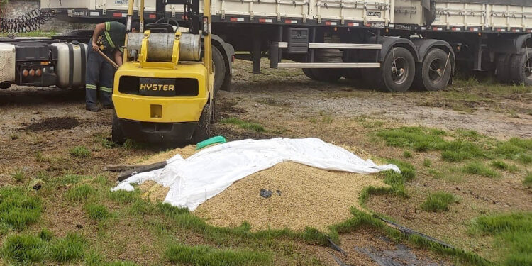 PM recupera 35 toneladas de cevada e insumo agrícola desviados em Paranaguá