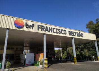 Frigorífico abre 350 vagas de emprego na região Sudoeste