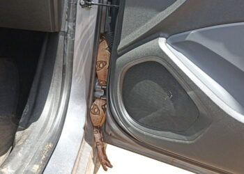 Jiboia é encontrada dentro de viatura da Polícia Civil