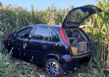 Batalhão Rodoviário apreende mais de 200 quilos de drogas no Litoral e no Oeste do estado