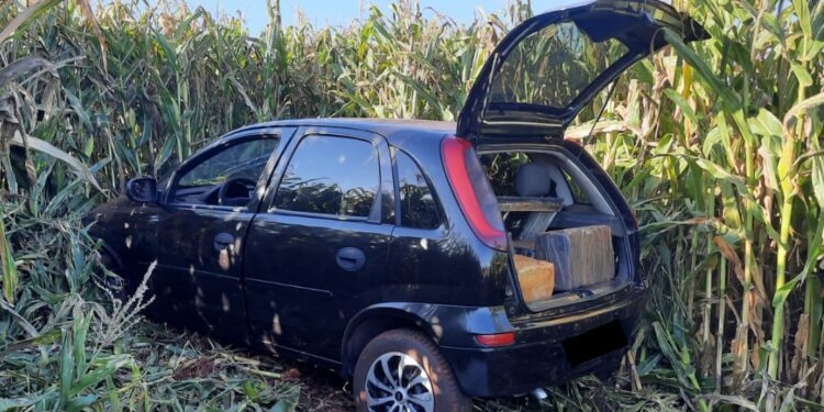 Batalhão Rodoviário apreende mais de 200 quilos de drogas no Litoral e no Oeste do estado